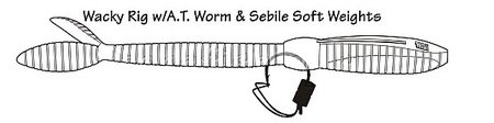 A.T. Worm -   