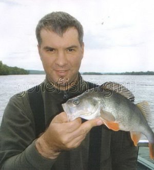 ��������� �������� rockfish graphiteleadear ������� �������� ������� �������� relax ����� daiwa