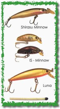 ��� ��� ����������� sugar minnow camion �������� ���������� jade ���������