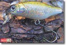 �������� ������ ���������� megabass ��������� ������� bassday ������ babby grifon ������ ��������