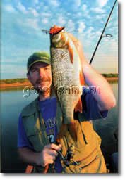 ������ ����� ��� ������� ����� �������� ������� Griffon Zip Baits Craze ����� ���� ����� �������