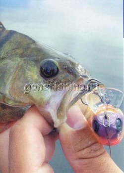 ������ ����� ������� ��� ��� ������� osp megabass liberty ����� ��������