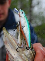 ������������ ������ ���� ������ ������� �������� megabass zipbaits smith rapala ������ �������� daiwa