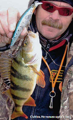 �������� ������� ������ ������ ima farina ����� rapala ��������