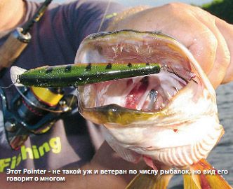 �������� ������� ������ ������ ima farina ����� rapala ��������