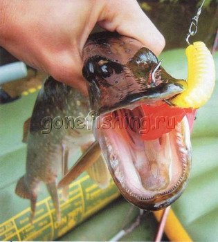 рыбалка спиннинг джиг офсетник резина твистер yum gamakatsu sasame mustad крючок vmc