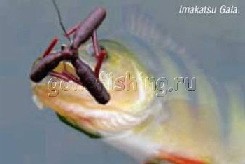 жабовник силикон вэки червь окунь виброхвост твистер съедобность басс gary yamamoto поролонка