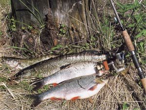 спиннинг upstream рыбалка нахлыст джиг воблер приманка щука окунь силикон незацепляйка
