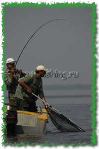 ������ �������� ������� ������� �������� ����������� ���� ������ �����������