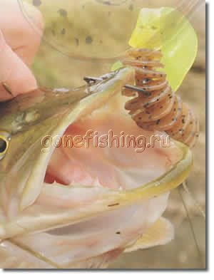 съедобная резина рыбалка спиннинг yum джиг окунь твистер виброхвост чебурашка щука болото жабовник судак проводка палка калуга