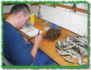 salmo ������ �������� hornet �������� ��������� ���� ������� ��������� ��������� butcher