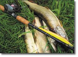спиннинг воблер удилище катушка рыбалка проводка поводок тонущий плавающий щука